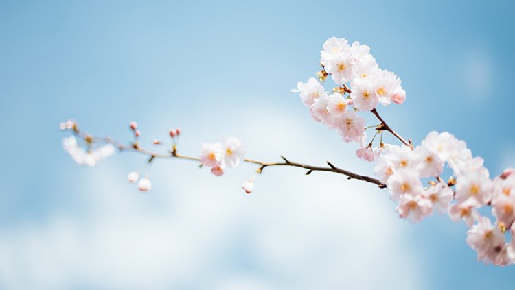 ����һ������(�й�)����