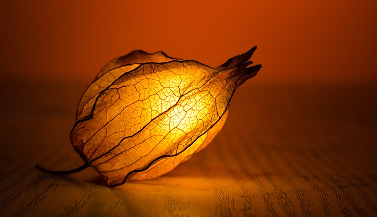 ����һ������(�й�)����