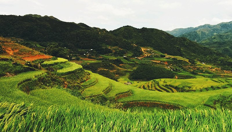 ����һ������(�й�)����