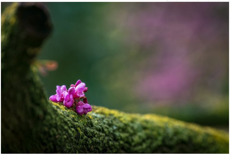 ����һ������(�й�)����