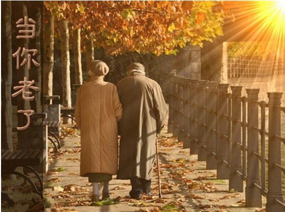 ����һ������(�й�)����