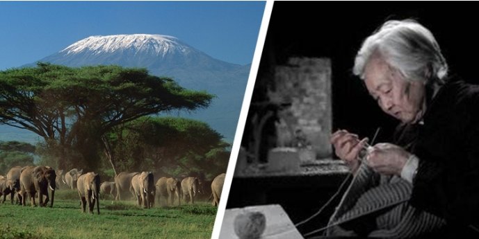 ����һ������(�й�)����