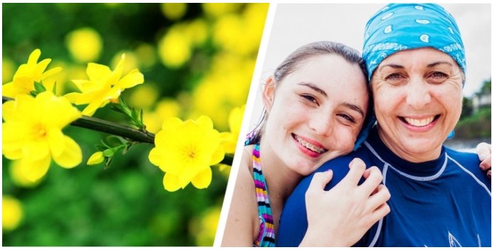 ����һ������(�й�)����