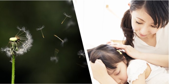 ����һ������(�й�)����