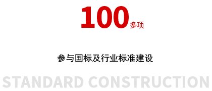 ��׼����